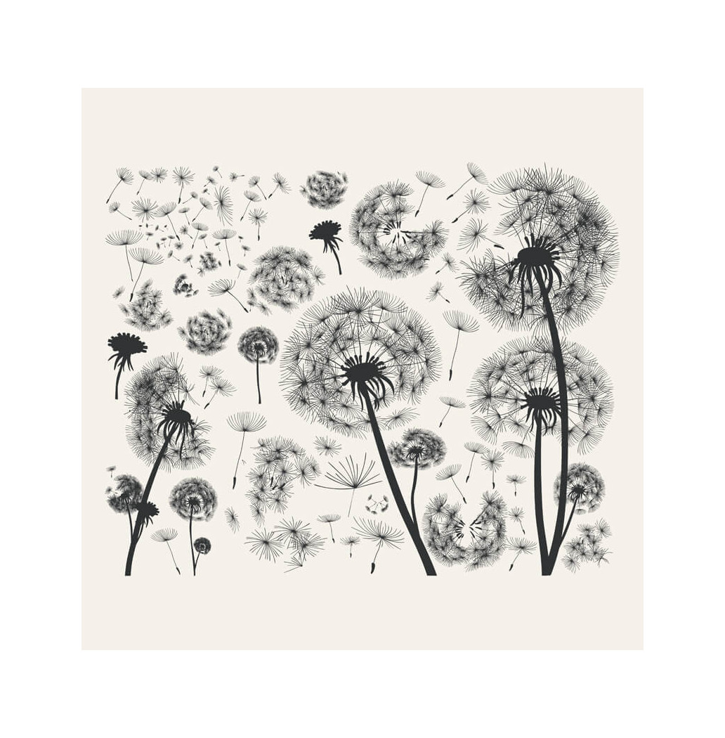 Transfert Ã  sec - Pissenlits noirs