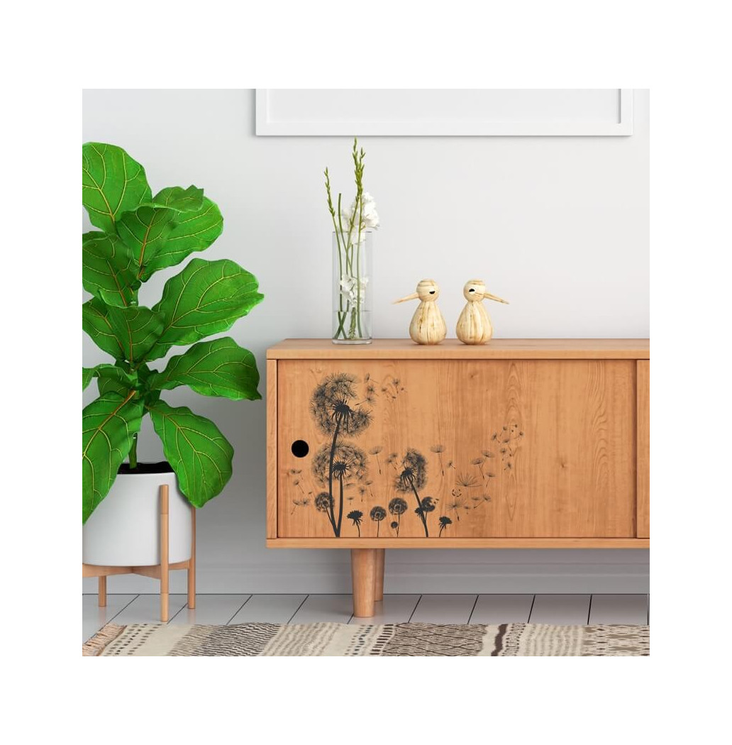 Transfert Ã  sec - Pissenlits noirs