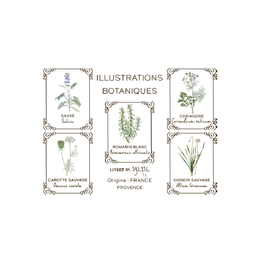 Transfert Ã  sec - Illustrations Botaniques