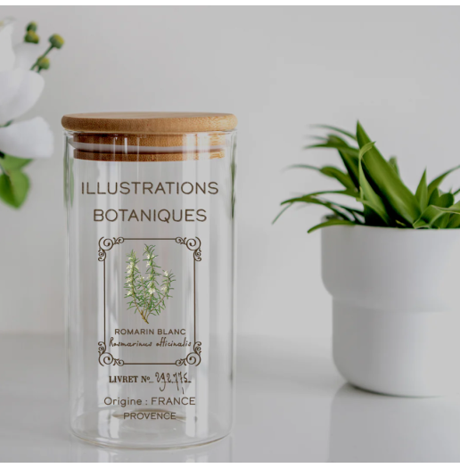 Transfert Ã  sec - Illustrations Botaniques