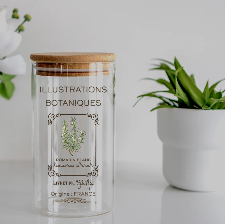 Transfert Ã  sec - Illustrations Botaniques