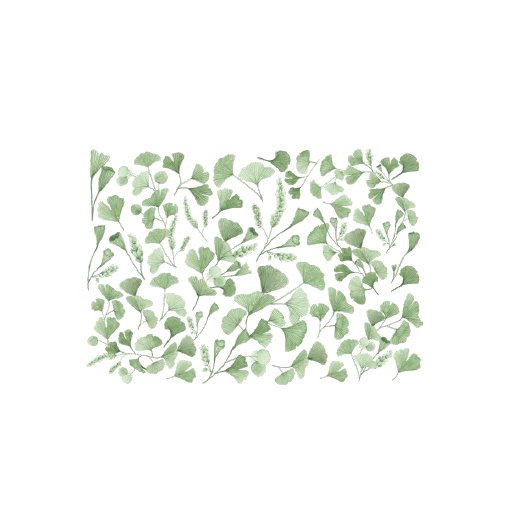 Transfert Ã  sec - Ginkgos