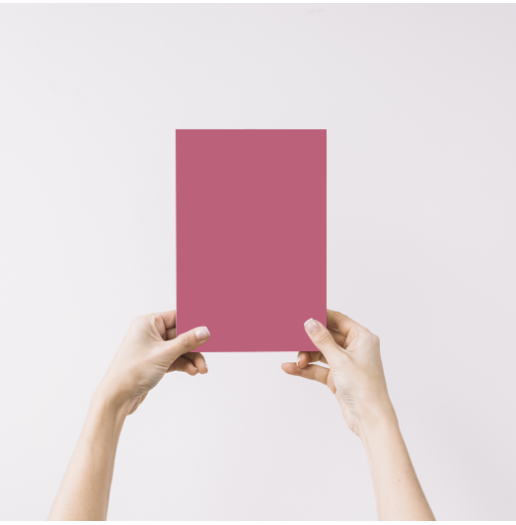 Althéa Echantillon Peinture Intérieure