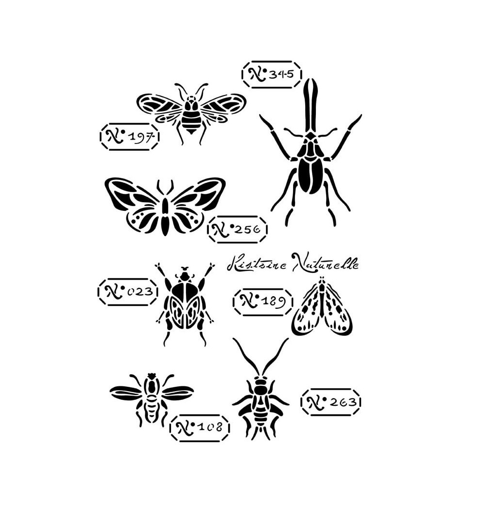 Pochoir Histoire Naturelle