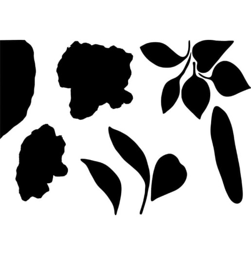 Pochoir Inspirations Florales