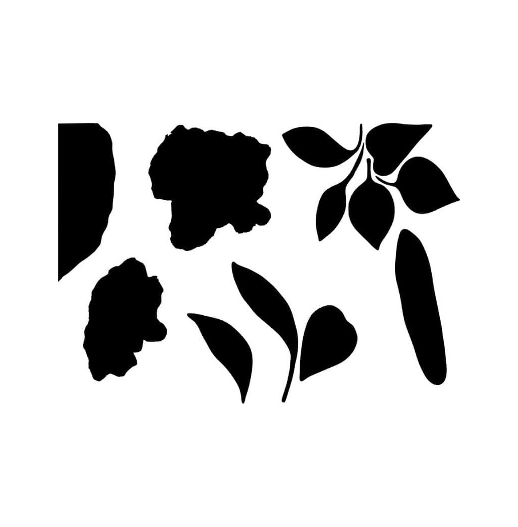 Pochoir Inspirations Florales