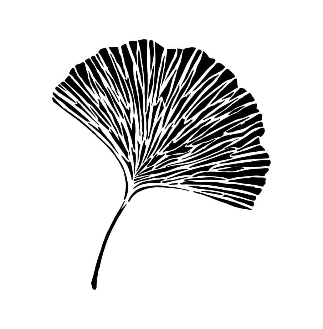 Pochoir Ginkgo