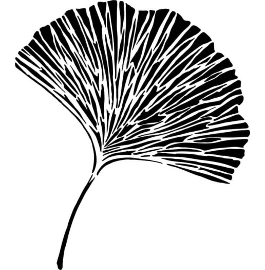 Pochoir Ginkgo