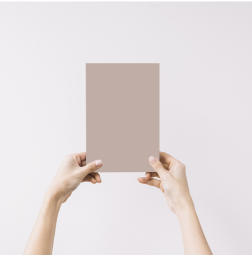 Camée Echantillon Peinture Intérieure