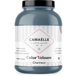 Color'Velours Chartreux