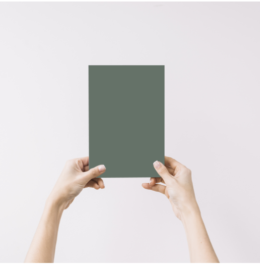 Euphorbe Echantillon Peinture Intérieure