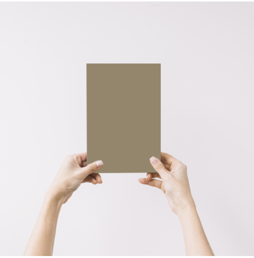 Jonc Echantillon Peinture Intérieure