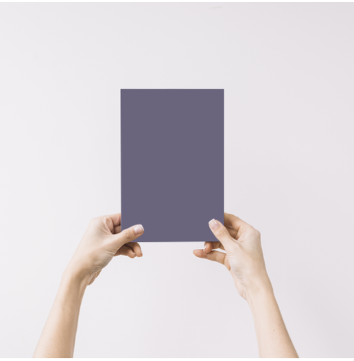 Renaissance Echantillon Peinture Intérieure