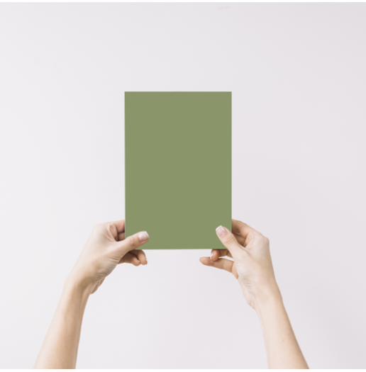 Rizière Echantillon Peinture Intérieure