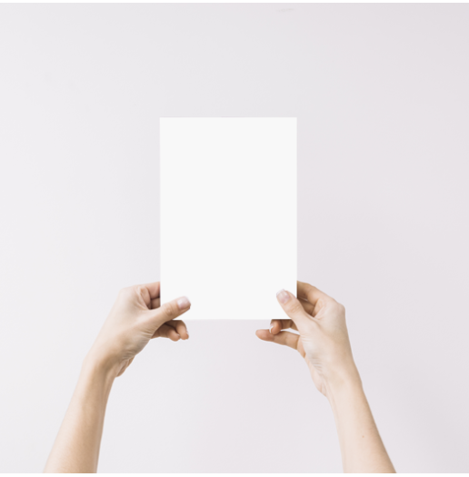 Saule blanc Echantillon Peinture Intérieure