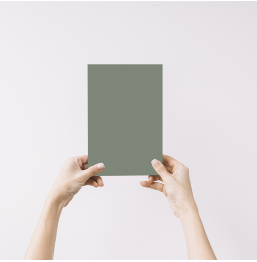 Véronèse Echantillon Peinture Intérieure