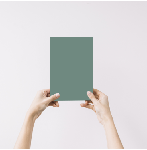 Agave Echantillon Peinture Intérieure