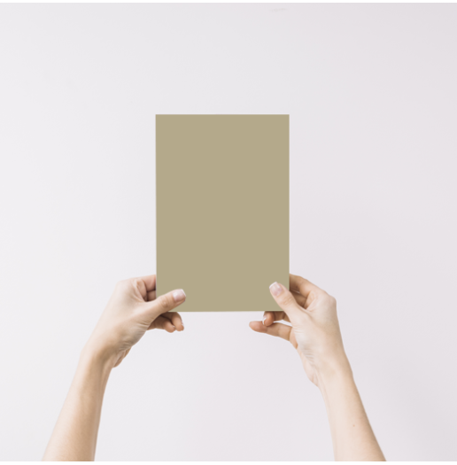 Bambou Echantillon Peinture Intérieure