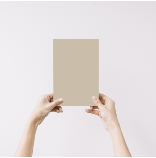 Beige très chic Echantillon Peinture Intérieure