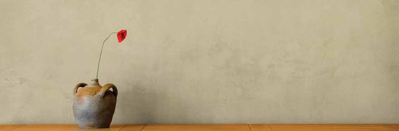 Chaux décorative Camaëlle | Peinture naturelle minérale intérieure