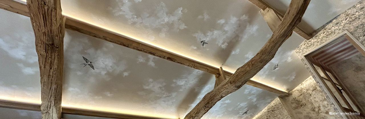 Peinture plafonds à base de résines à 95 % biosourcées – A+